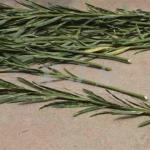 Máy bóc vỏ cành liễu tươi