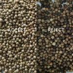 Máy chế biến hạt tiêu trắng - Máy tách hạt tiêu Máy phân loại hạt tiêu