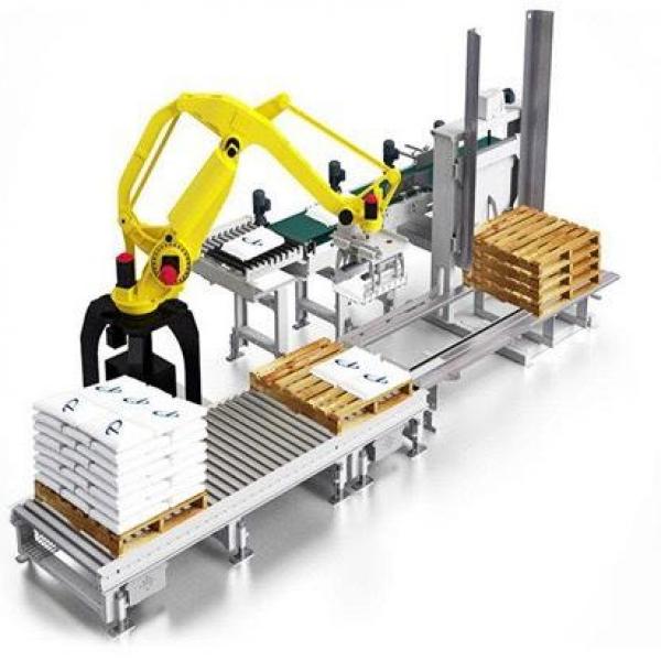 Robot gắp, bốc xếp hàng hóa