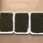 Máy chế biến chè xanh nhỏ - Máy phân loại màu chè/Trà