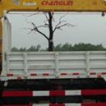 The SQ5 straight-boom truck-mounted crane