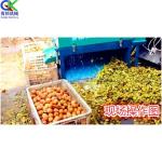 Máy làm sạch vỏ quả óc chó xanh mới, hiệu quả xử lý cao vận hành đơn giản sử dụng linh hoạt