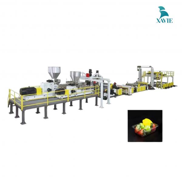 Dây chuyền sản xuất ép đùn tấm nhựa Polynk PET / PP