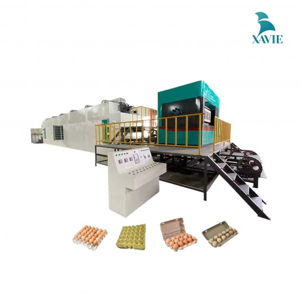 Dây chuyền sản xuất khay trứng