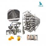 Dây chuyền sản xuất nước ép xoài