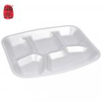 Dây chuyền sản xuất hộp cơm EPS