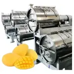 Dây chuyền sản xuất máy làm mứt xoài hoàn toàn tự động liên tục