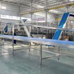 Dây chuyền sản xuất bánh waffle