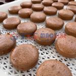 Dây chuyền sản xuất bánh Cup Layer Cake tự động