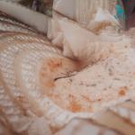 Máy băm nghiền thân cây chuối