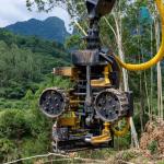 Máy Chặt Cắt Cây Gỗ