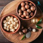 Máy cưa hạt Macca