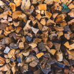 Máy cưa xích Rima RS26G/RS31G