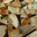 Máy cưa xích Rima RS26G/RS31G