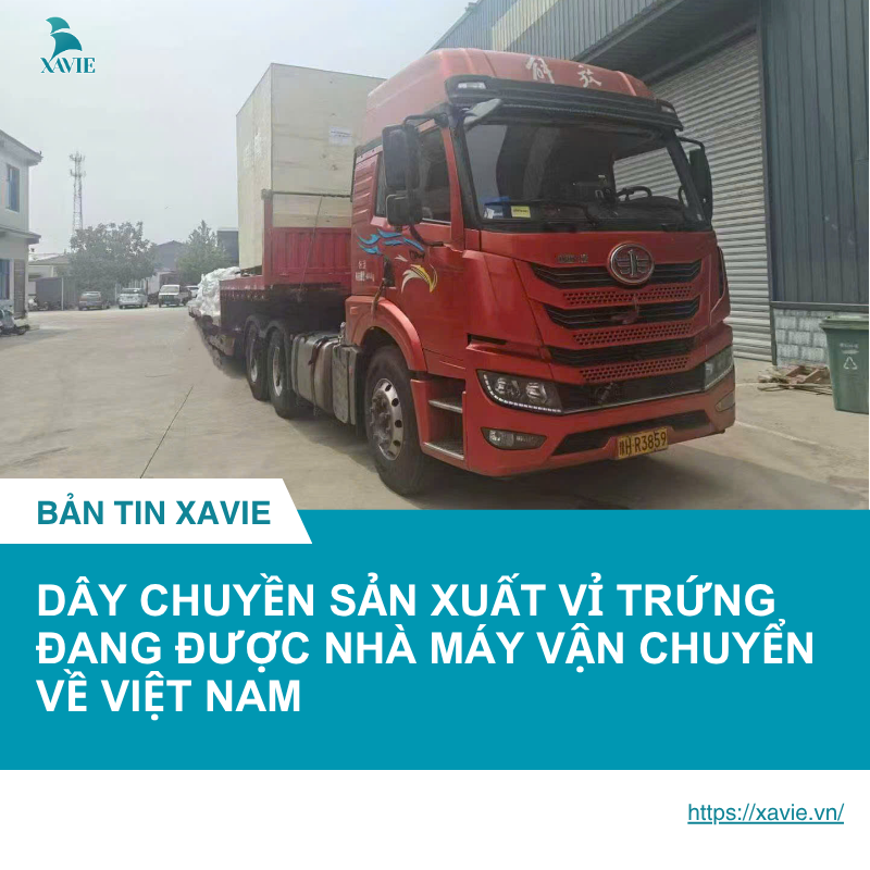DÂY CHUYỀN SẢN XUẤT VỈ TRỨNG ĐANG TRÊN ĐƯỜNG VỀ VIỆT NAM