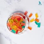 Automatic Gummy Candy Making Machine