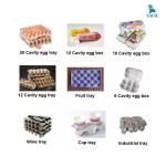 Máy sản xuất vỉ trứng