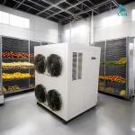 Máy sấy thực phẩm hiệu quả 380L/D