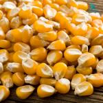 Máy tách hạt ngô