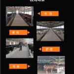 养牛喂羊用撒草车鸡鸭养殖投料机颗粒饲料撒料机5方撒料车