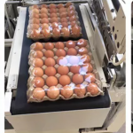 全自动高速封切机450边封热收缩膜机热塑封pof塑膜套袋包装机