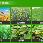 9YDM-0.55型全自动打捆包膜机触屏版 青贮饲料圆捆包膜牧草打捆机