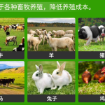 9YDM-0.55型全自动打捆包膜机触屏版 青贮饲料圆捆包膜牧草打捆机