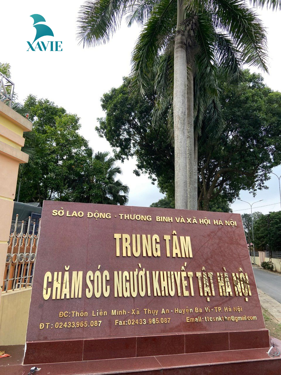 thiện nguyện 11