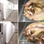 Thiết bị sấy bơm nhiệt thương mại công suất lớn