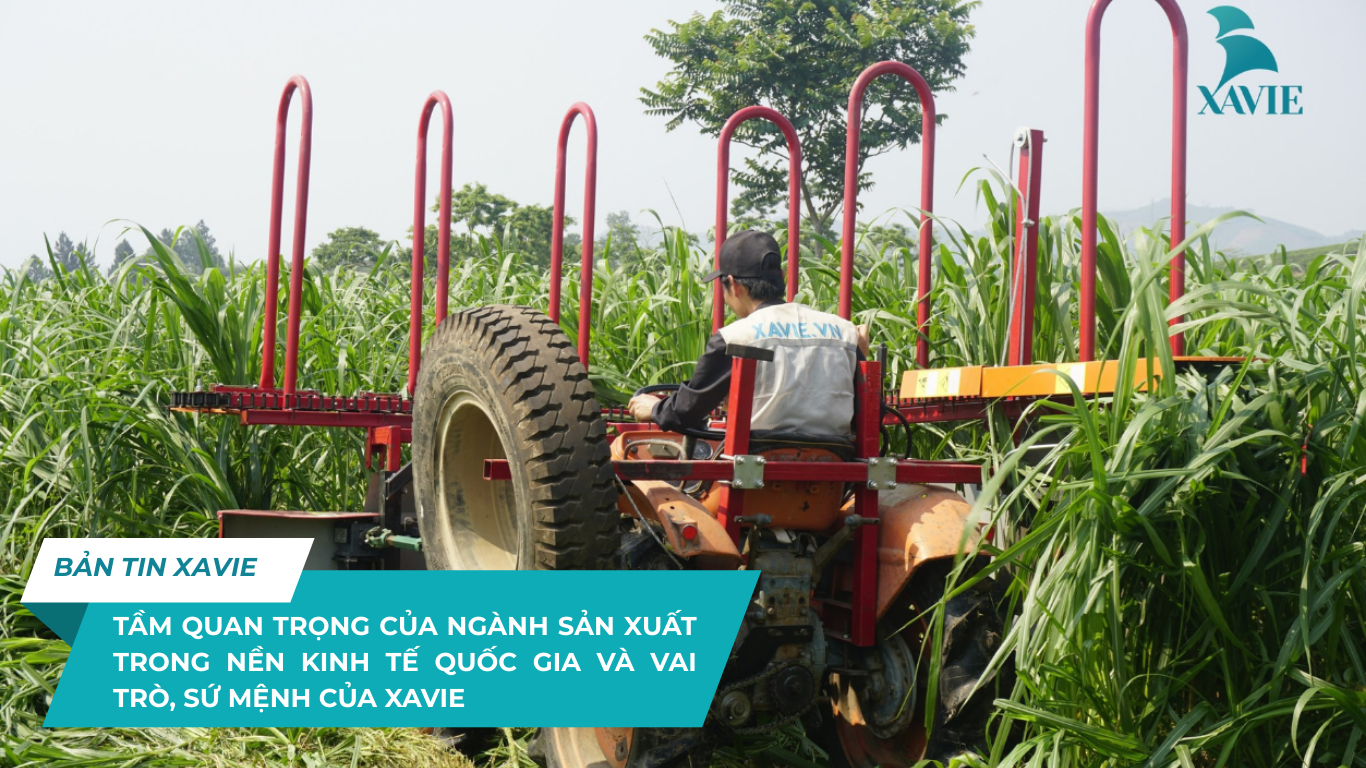 TẦM QUAN TRỌNG CỦA NGÀNH SẢN XUẤT TRONG NỀN KINH TẾ QUỐC GIA VÀ VAI TRÒ, SỨ MỆNH CỦA XAVIE