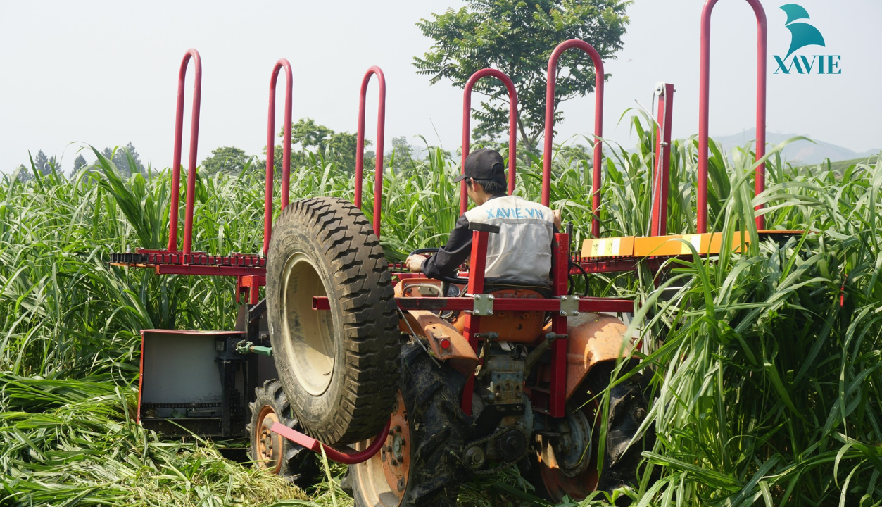 Tiếng_anh_Banner-1